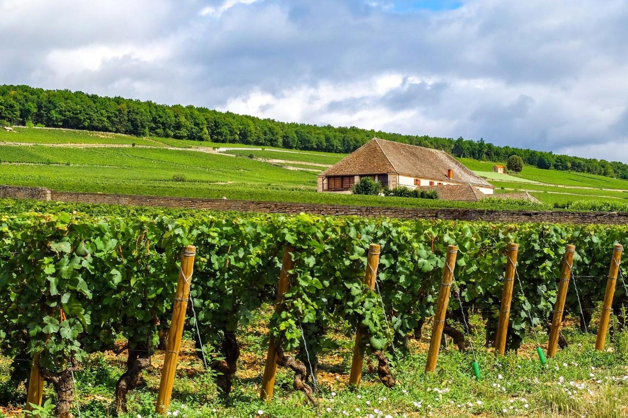 Voco Beaune , Cite Des Vins By Ihg Eksteriør bilde